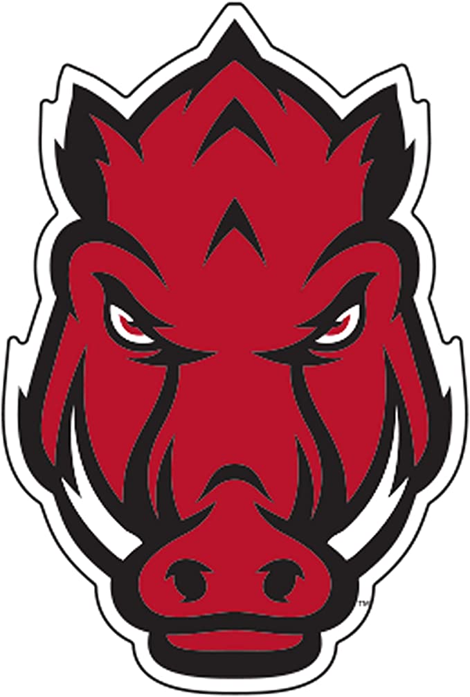 Arkansas Ra\zorbacks NCAA basketball