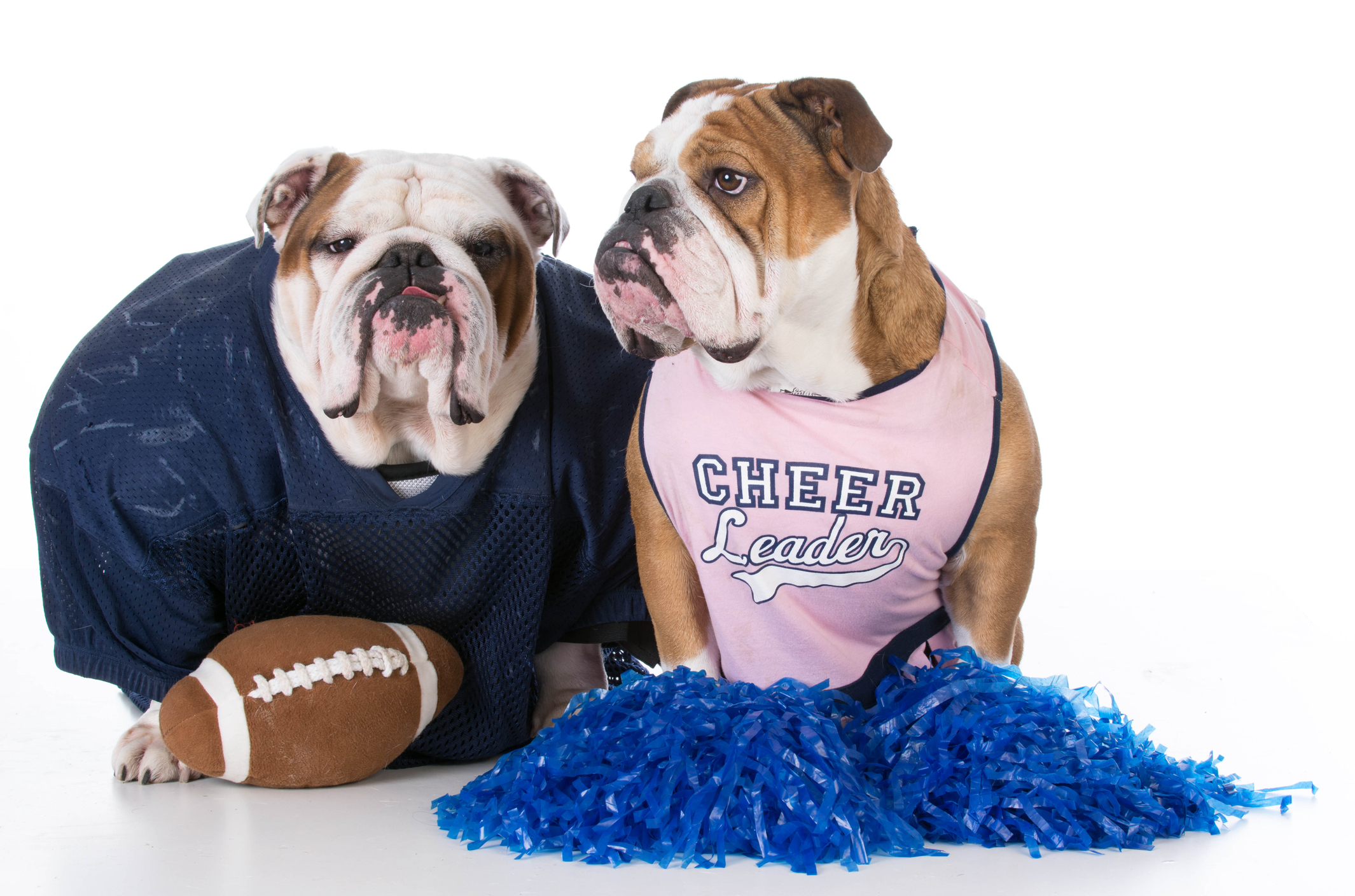 NFL week 14 underdog picks