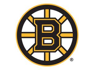 Officiating bias Boston Bruins